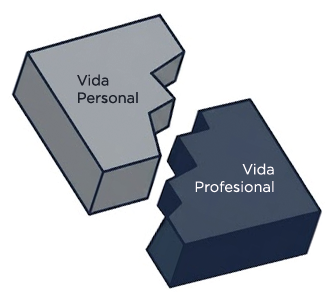 Vida Profesional